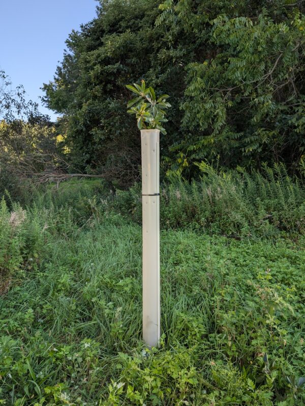 Tree tube