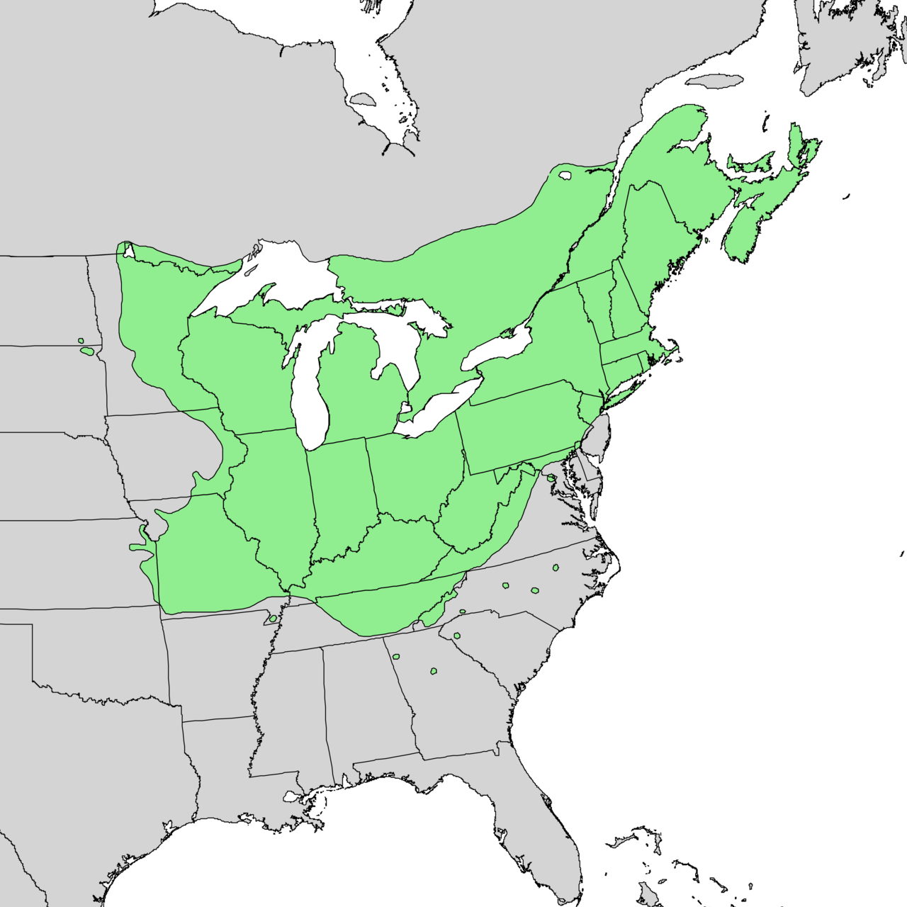 range map